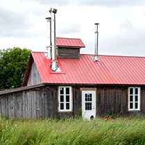 Cabane à sucre