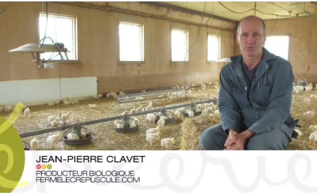 Reportage title